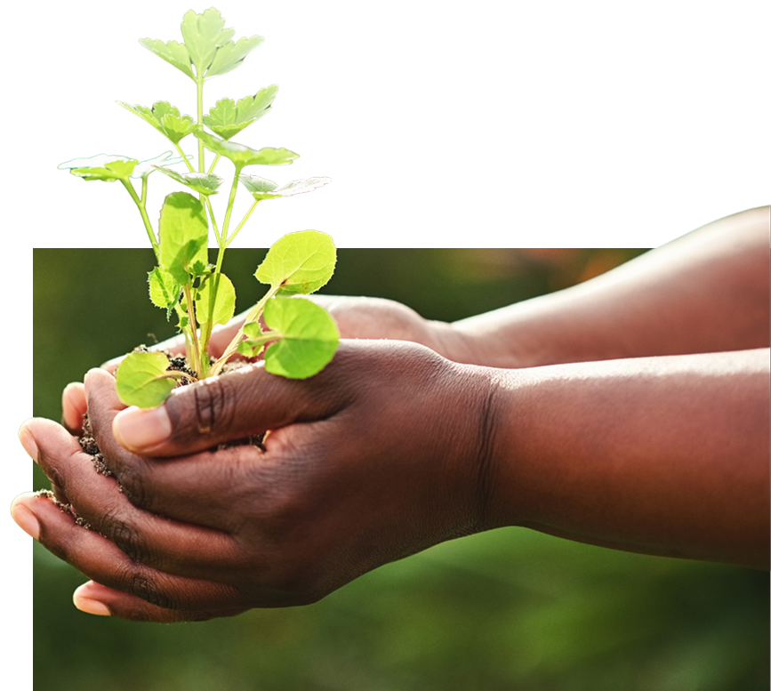 client nurture campaign calgary services